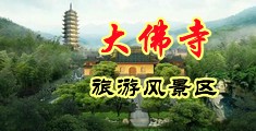 骚逼抠逼免费视频中国浙江-新昌大佛寺旅游风景区
